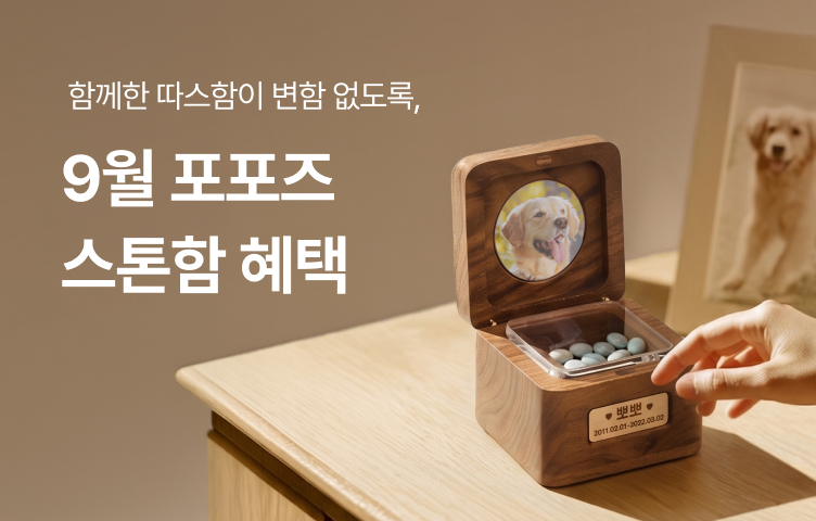 [9월 프로모션] 포포즈 스톤함 혜택