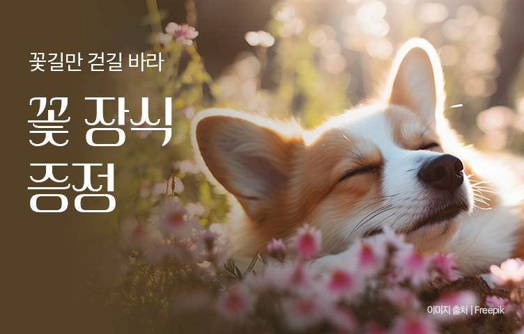 [전 지점] 신규회원 가입 시 꽃 장식 쿠폰 증정