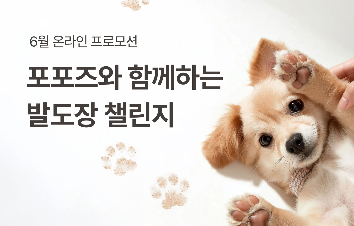 [6월 온라인 프로모션] 포포즈 발도장 챌린지