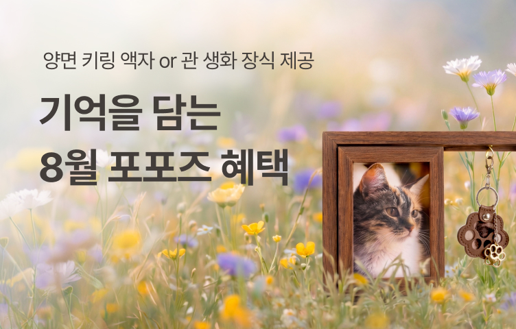 [8월 프로모션] 기억을 담는 선물 혜택