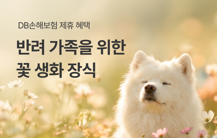 [DB손해보험 제휴혜택] 반려 가족을 위한 꽃 생화 장식