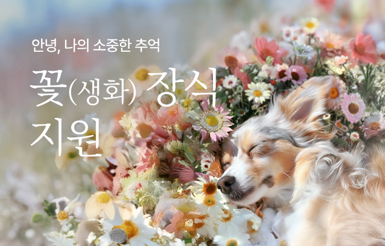 안녕, 나의 소중한 추억