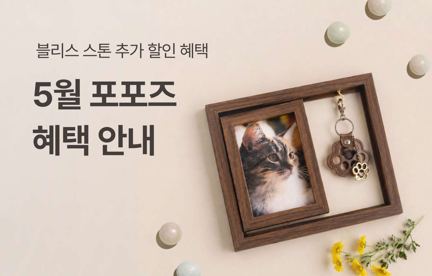 [5월 프로모션] 블리스 스톤 추가 할인 혜택