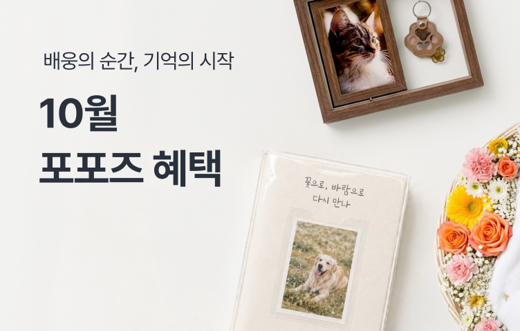 [10월 프로모션] 배웅의 순간, 기억의 시간