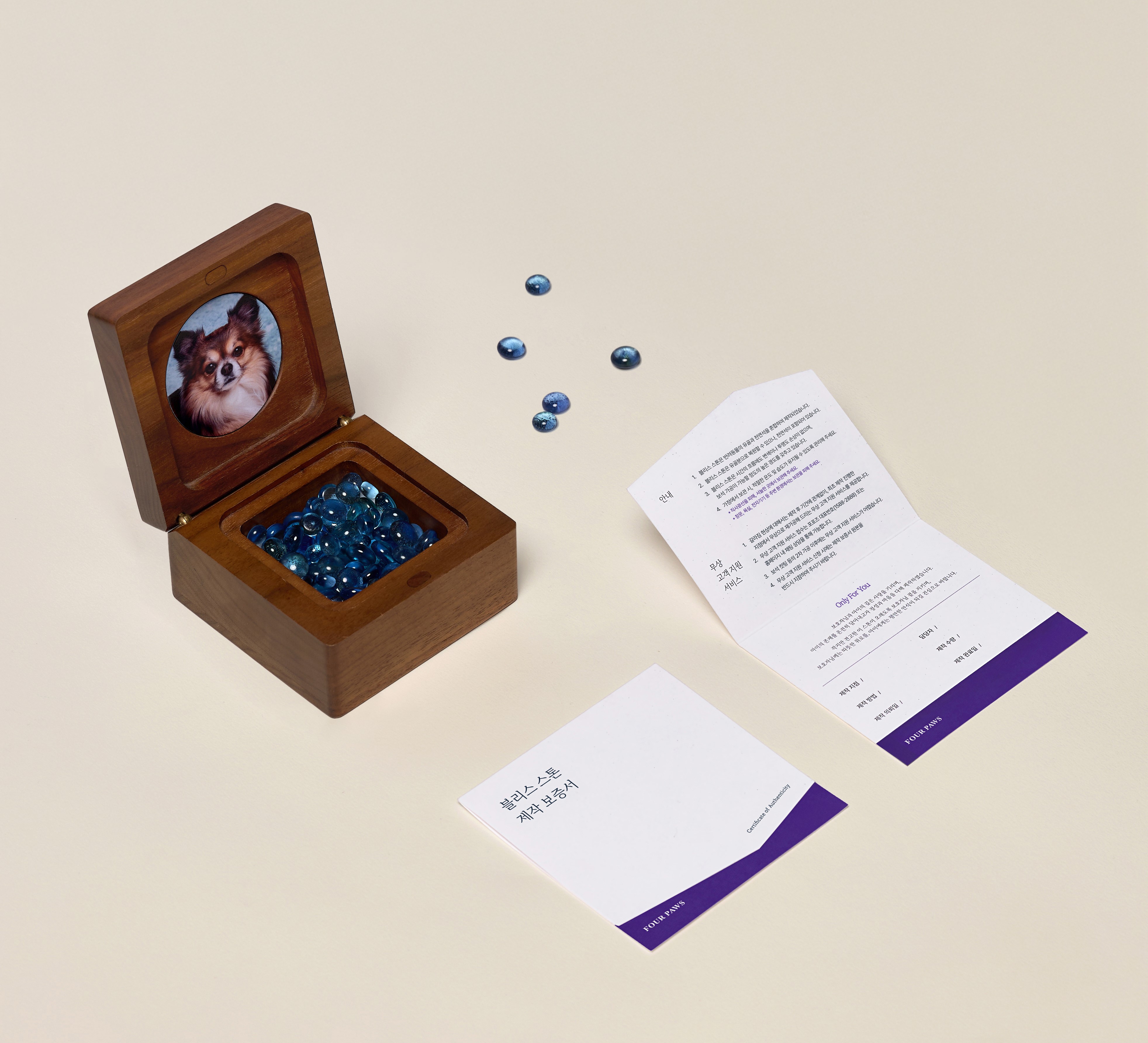 포포즈, 지속 가능한 장례 후 추모 서비스 강화