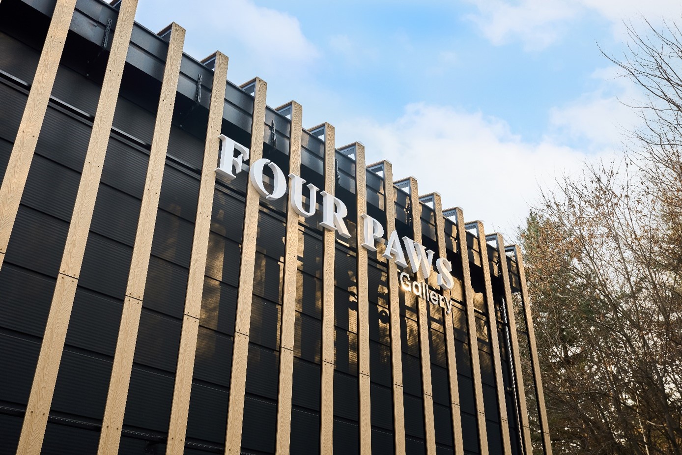 포포즈, 반려동물 장례 준비 서비스 제공…”스마트한 반려인들 새 트렌드로 자리 잡아”