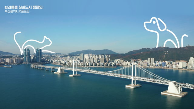 ㈜펫닥, 부산광역시와 ‘일상의 돌봄’ 캠페인 전개… 성숙한 반려 문화 선도