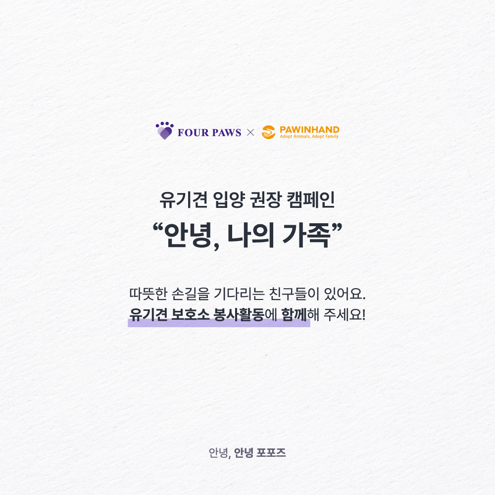 포포즈, 올바른 반려동물 문화 확산을 위한 기부·봉사 활동 전개